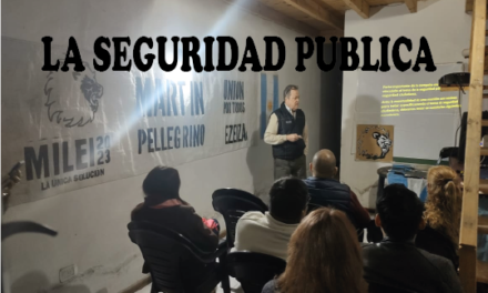 SEGURIDAD PUBLICA ESE PROBLEMA