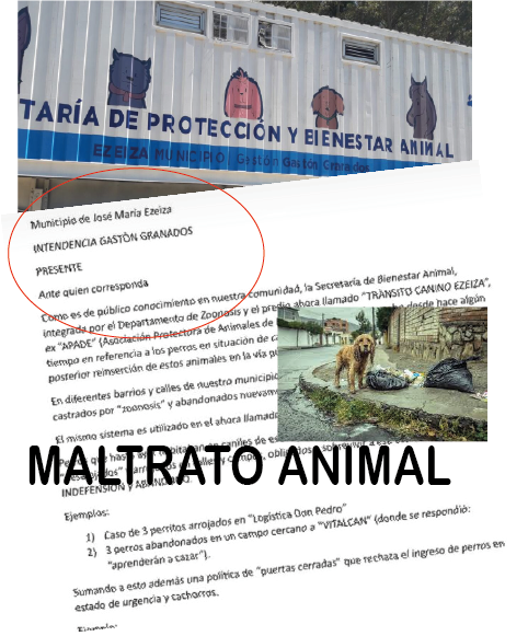 MALTRATO ANIMAL EN EZEIZA